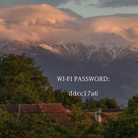 Willa Fagaras Cosy Flat Zewnętrze zdjęcie
