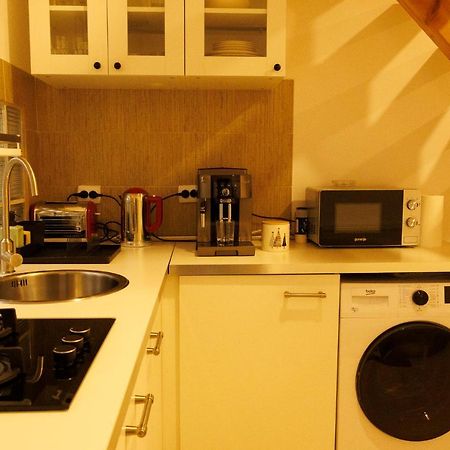 Willa Fagaras Cosy Flat Zewnętrze zdjęcie