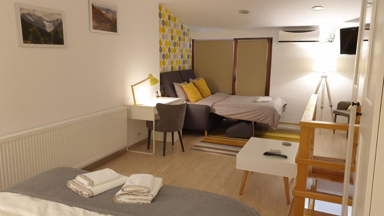Willa Fagaras Cosy Flat Zewnętrze zdjęcie