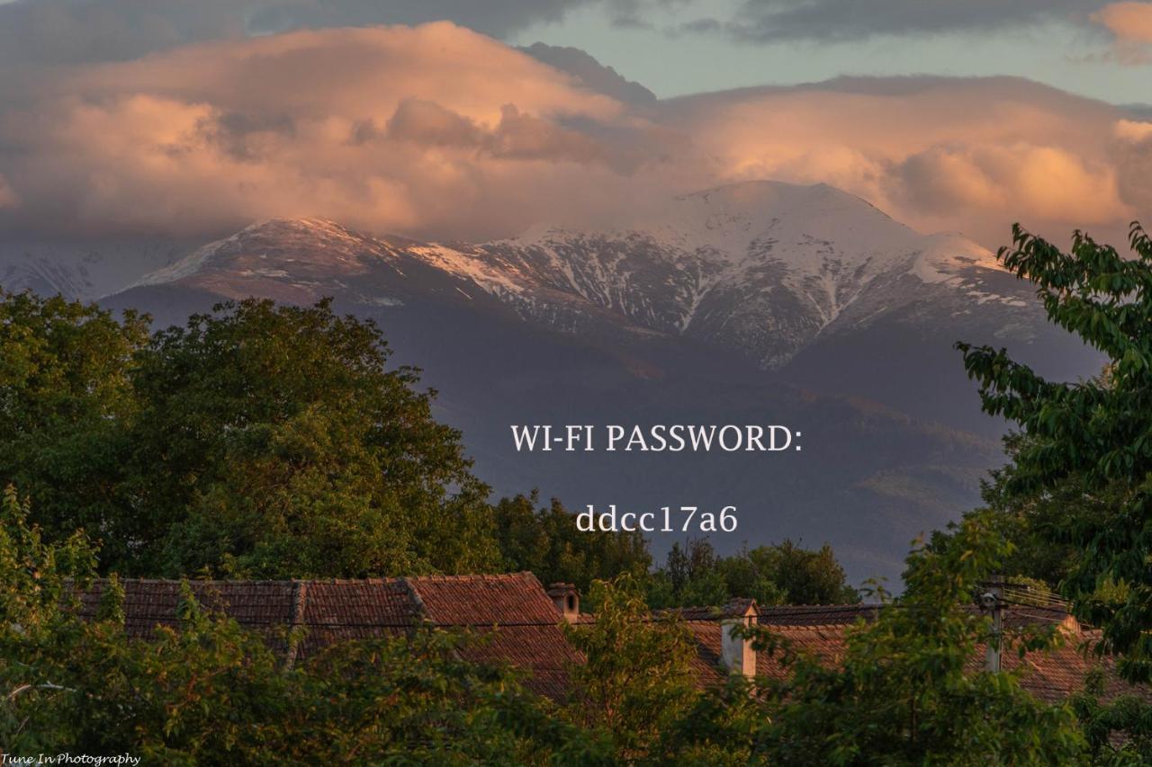 Willa Fagaras Cosy Flat Zewnętrze zdjęcie